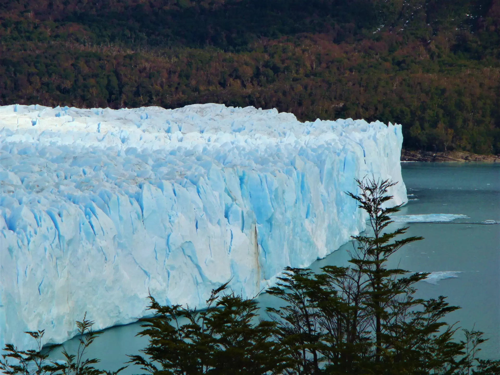 Croazieră în Patagonia și Antarctica: Chile – Argentina – Uruguay – Brazilia