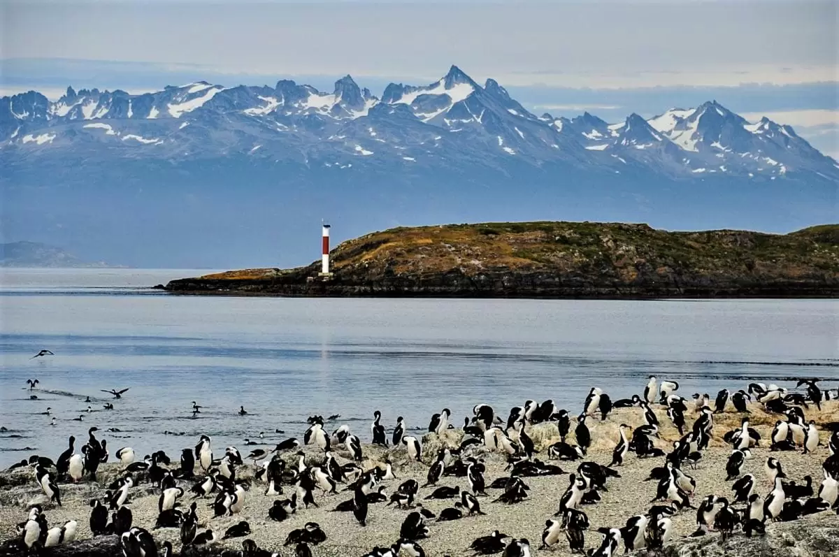 Croazieră în Patagonia și Antarctica: Chile – Argentina – Uruguay – Brazilia