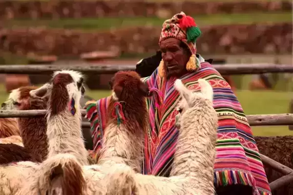 Peru - Colca - Nazca