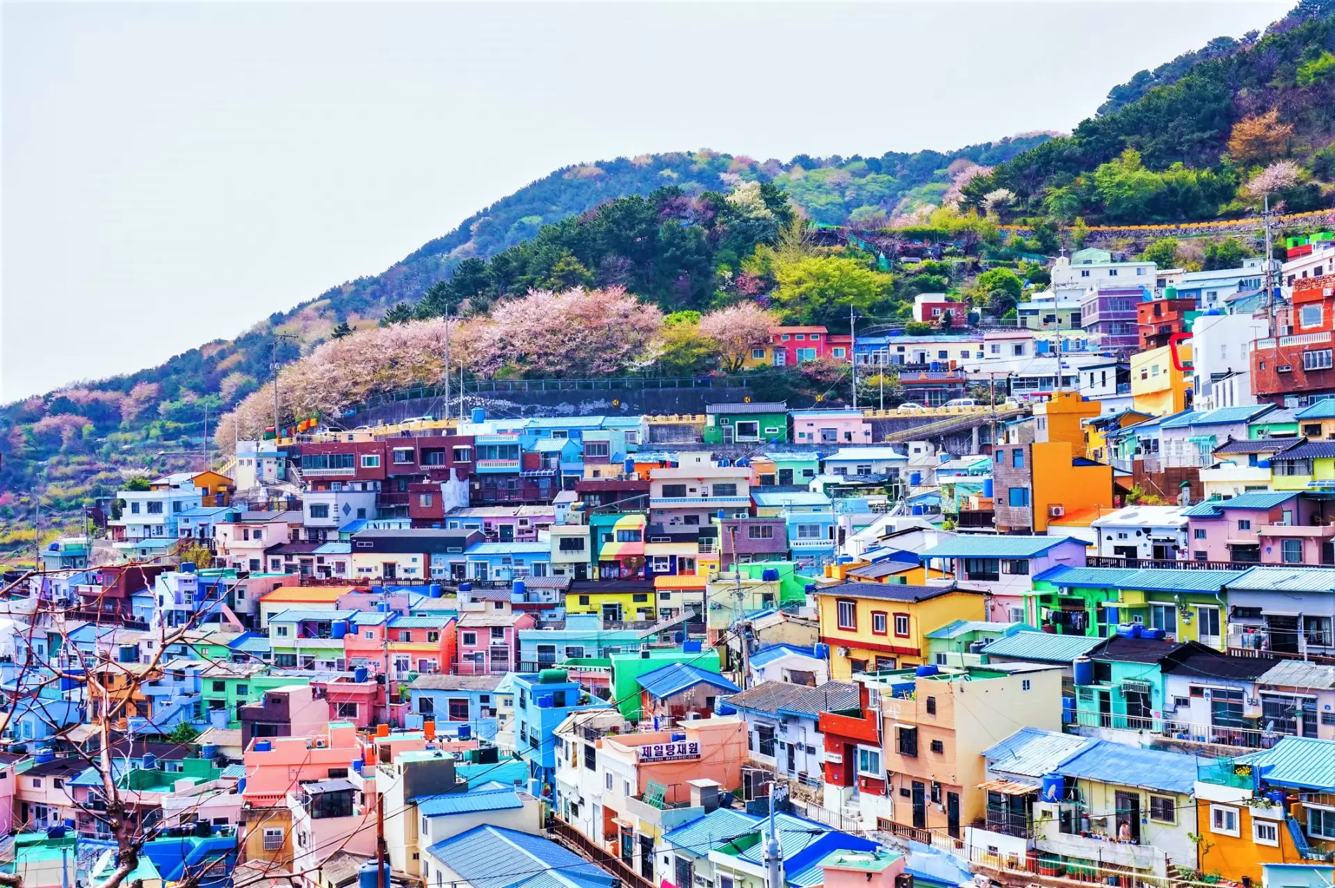 Vacanţă de Paște în Coreea de Sud