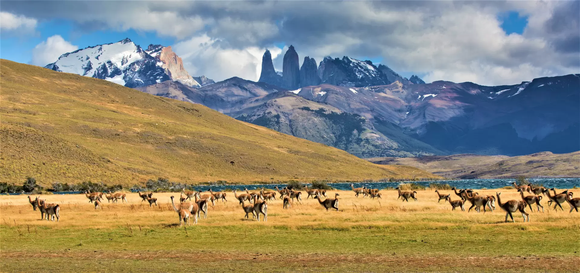 Patagonia Chiliană și Argentiniană – Țara de Foc & Buenos Aires & Santiago