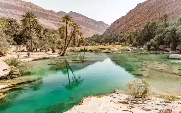 Sultanatul Oman