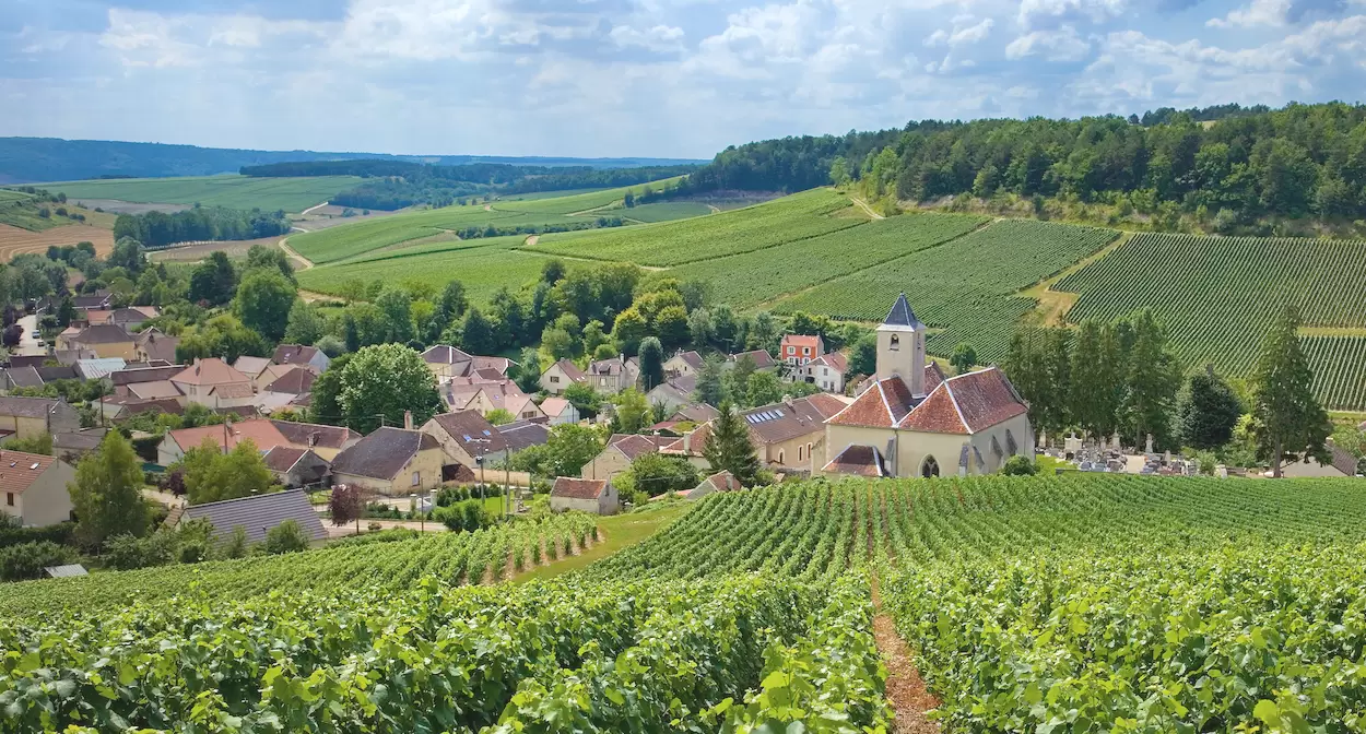 Franța: Champagne – Lorena – Alsacia – Burgundia