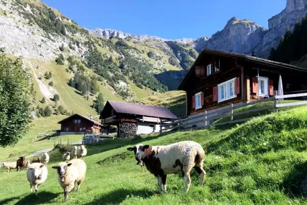 Elveția cu Traseul Heidi