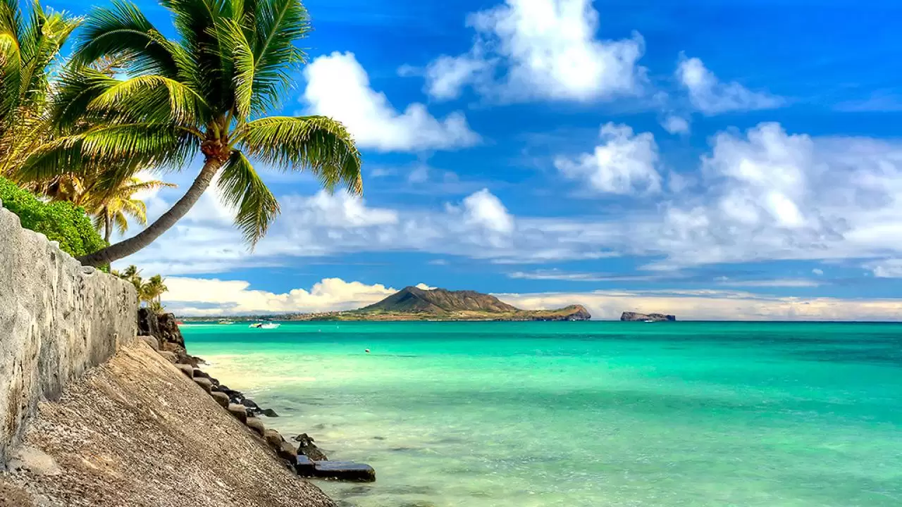 SUA: Coasta de Vest și croazieră în arhipelagul Hawaian