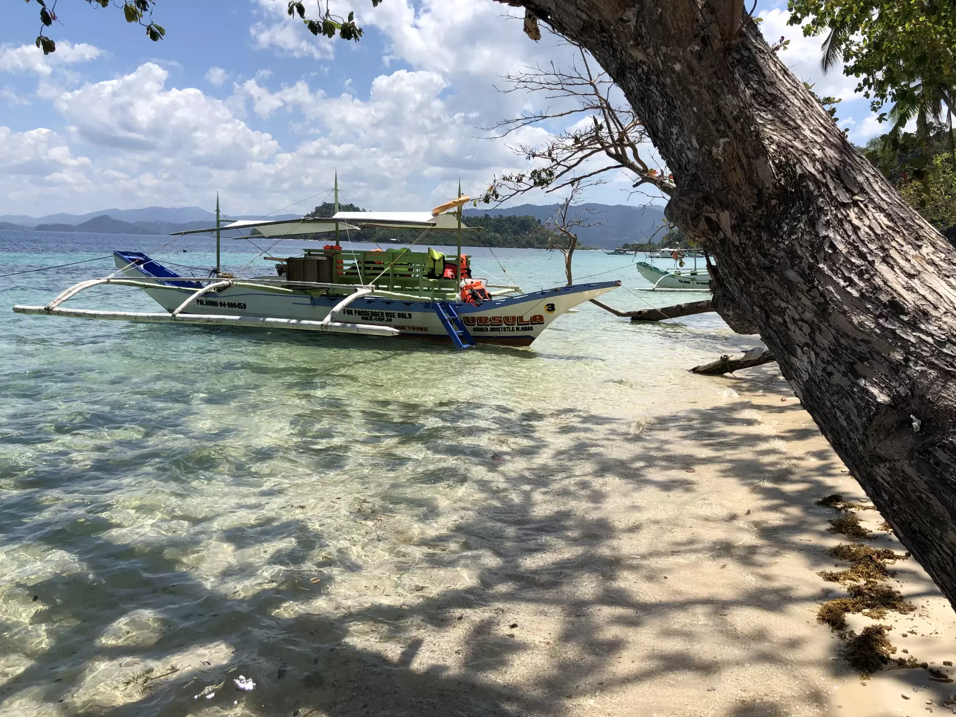 Filipine – Insulele Luzon – Palawan