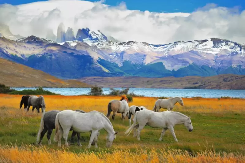 Chile Marele Circuit  Patagonia – Deșertul Atacama – Insula Paștelui