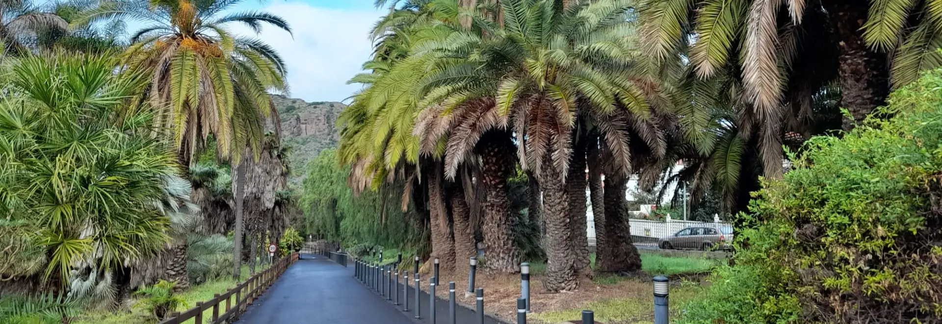 Fiesta și răsfățul primăverii în Gran Canaria