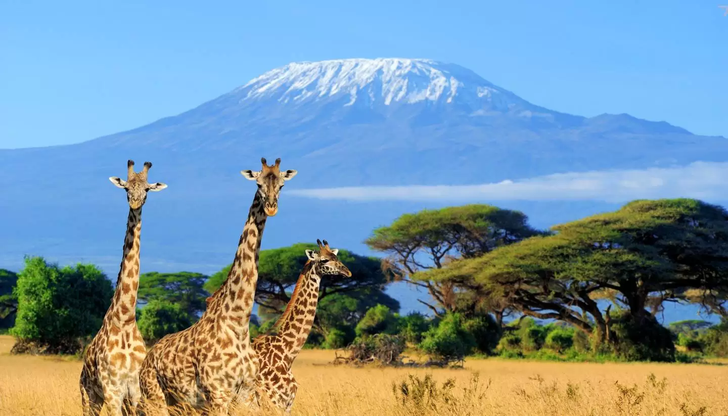 Kenya – Tanzania – Zanzibar – Marea Migrație