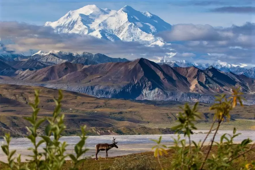 SUA Croazieră în Alaska, Parcul Denali și Incursiune la Cercul Polar