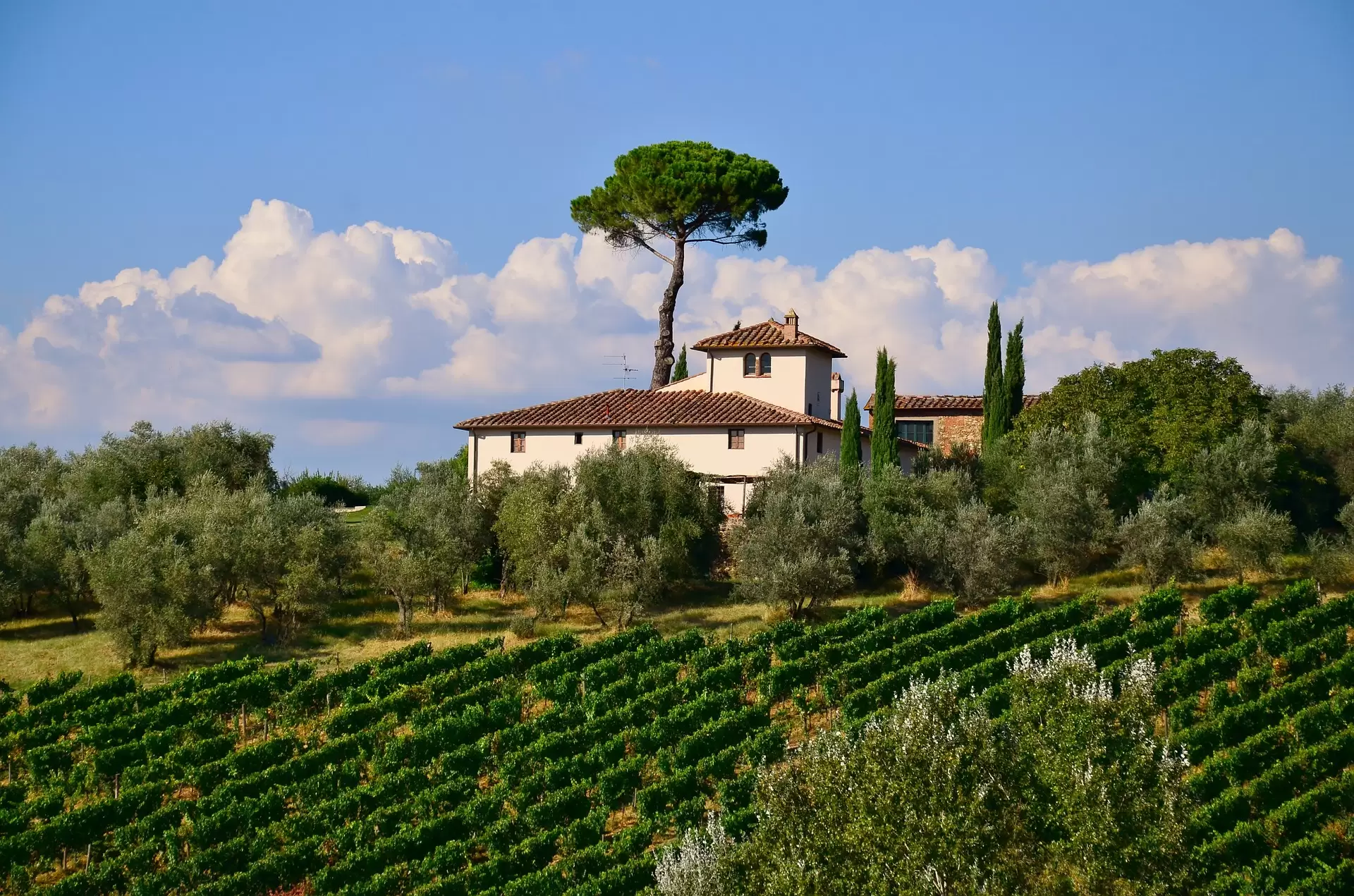 Private Tour Italia: Toscana și Il Palio di Siena
