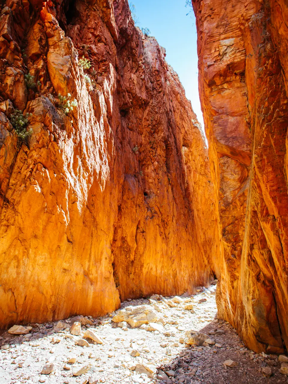 dal travel Australia – Tasmania – Noua Zeelandă