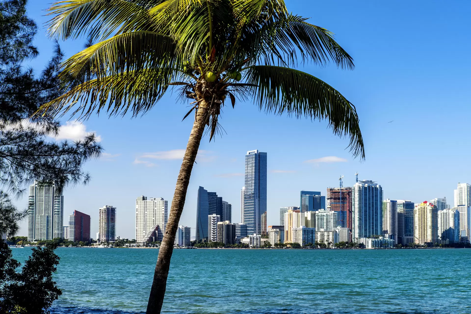 SUA: Miami și parcuri de distracție