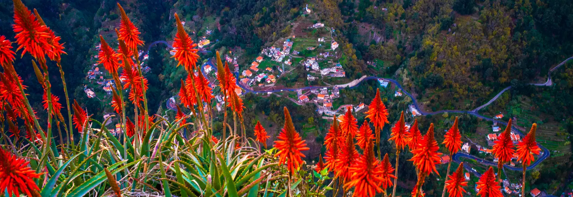 Revelion Madeira