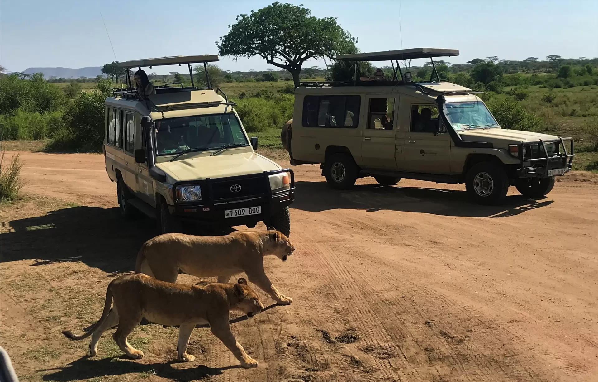 Kenya Safari și Sejur la Plajă