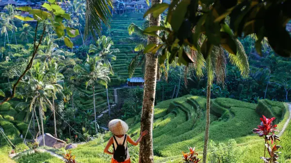 Indonezia – Insula Java și minisejur în Bali