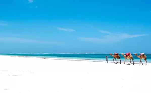 Kenya – Safari și Sejur la Plajă